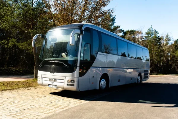 man-lions-coach-50-1-1